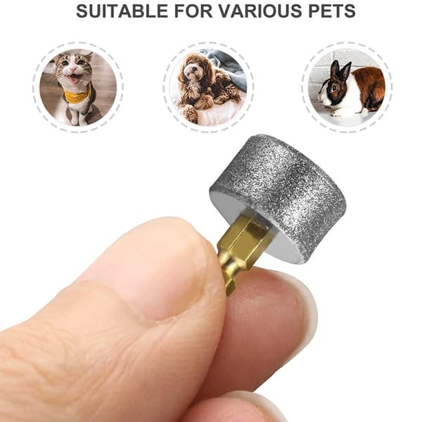 10-pack slipskivor för hundtassar, ersättningshuvuden, grå, 10-pack