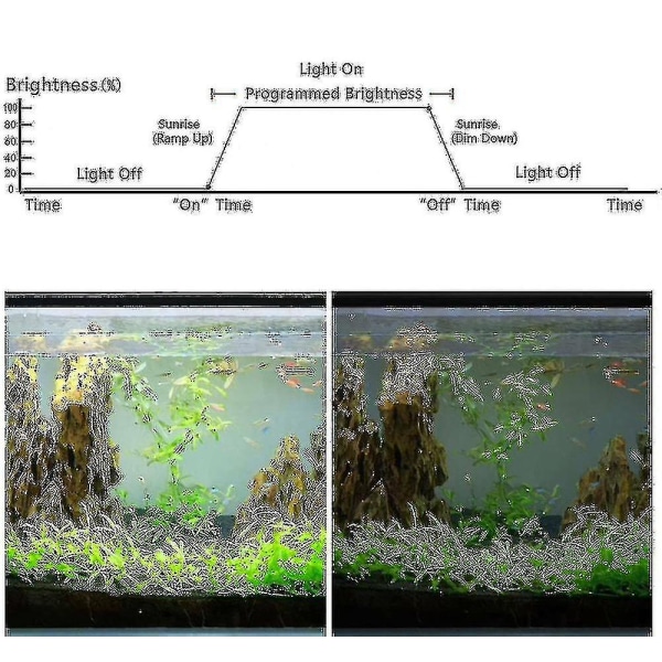 Akvarie Lys Controller 4 Tilstande Solopgang Solnedgang Akvarie Dimmer LED Lys Til Fisk Tank Lampe Timer