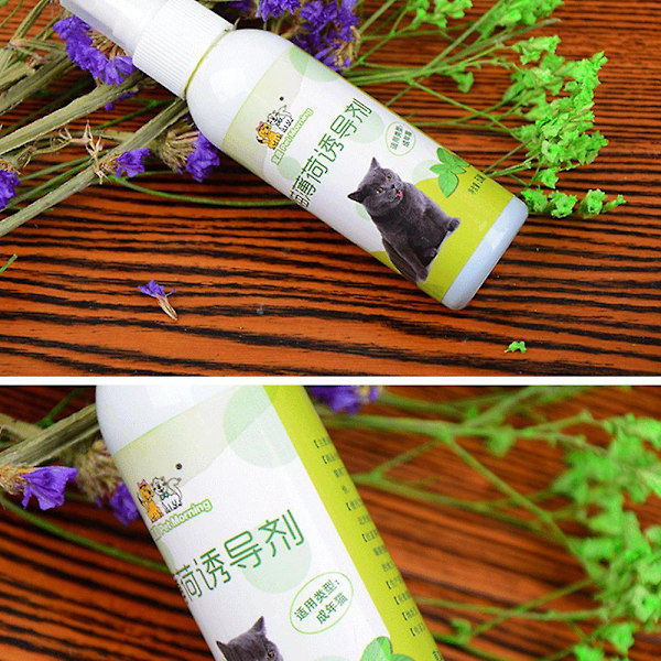 Katteurt Spray Kat Excitement Legetøj Kat Økologisk Naturlig Scratch Sund Inducer