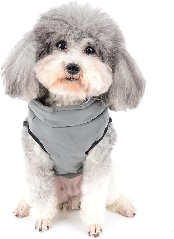 Hundejakke til små hunde Vinterharnessvest Grå XL