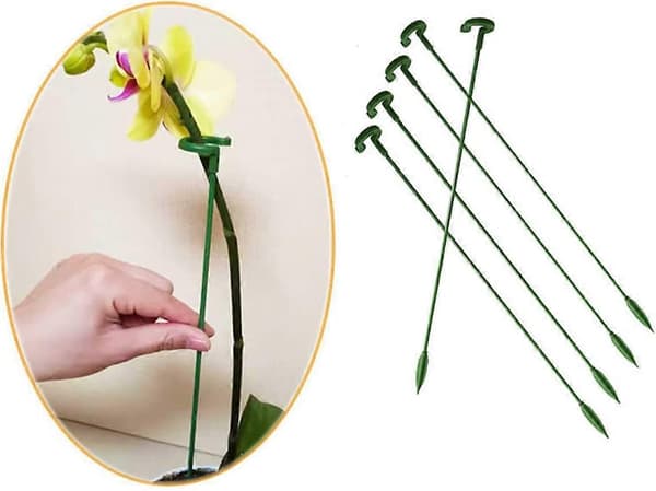 27 cm plantestøttepinde, orkidéblomstervoksestøttering til havegrøntsager roser Monstera