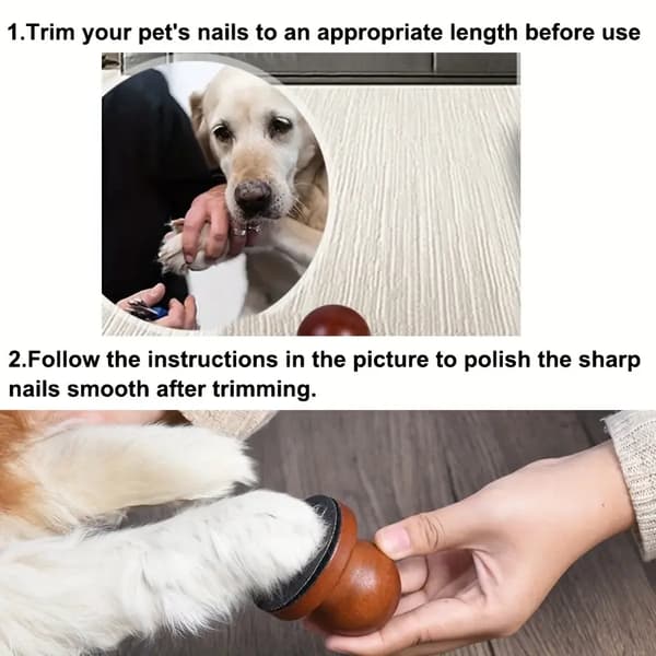 Husdjurs Nagelvård | Hund Nagelfil | Hund Klös Kub | Stressfri Nagelvård | Hållbart PP Material