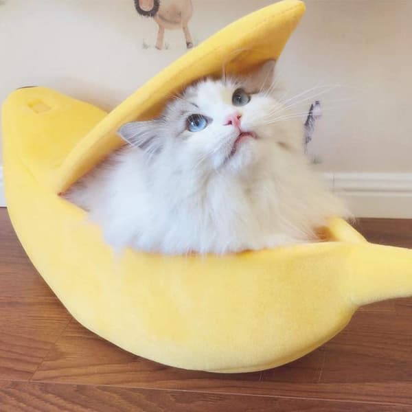 Kreativ Bananformet Hundehule Varm Kattehule Til Vinter Gul L