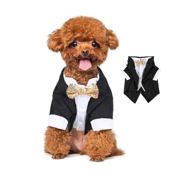 Hundkläder Hundtröja Hundjacka