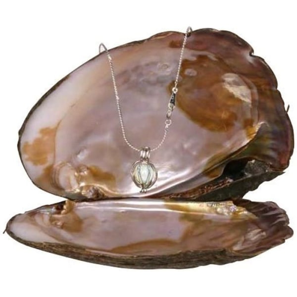 Snyggt halsband med äkta pärla i ostronburhänge i c billigt snyggt smyckeshänge * Hängsfärg: silver...