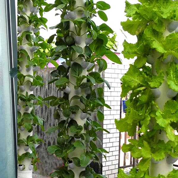 5 stk Kolonnekopper DIY Hydroponic Colonization Cups Grow Pots White 5Pcs
