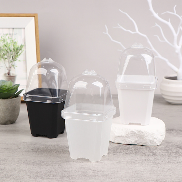 5st fyrkantig liten blomkruka med fuktkupol lings ing krukor Transparent one size