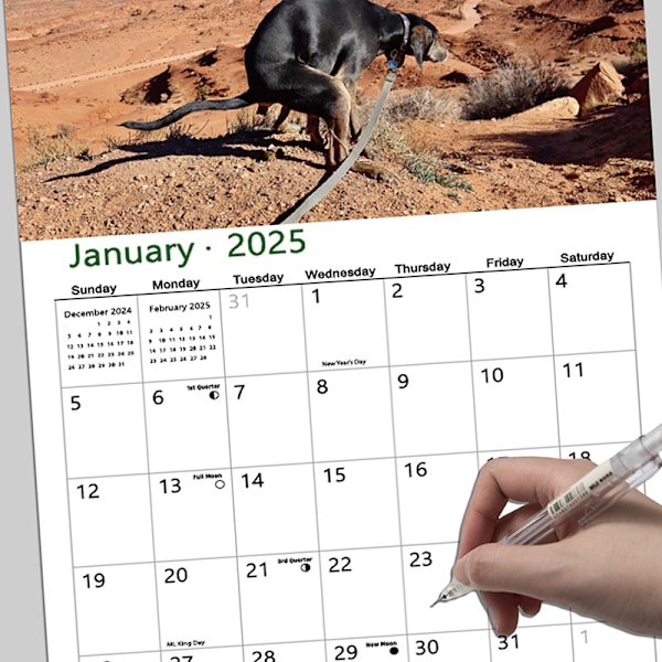 2025 Väggkalender - Hundbajs Kalender A