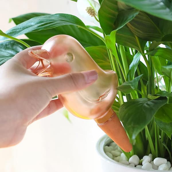 Bird Automatic Self-Watering s Watering Globe Garden Drip Vanning Blue
