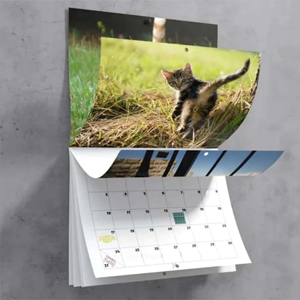 Kattestjerter 2025 For Katt-Elskere Morsomme Katter Kalender A