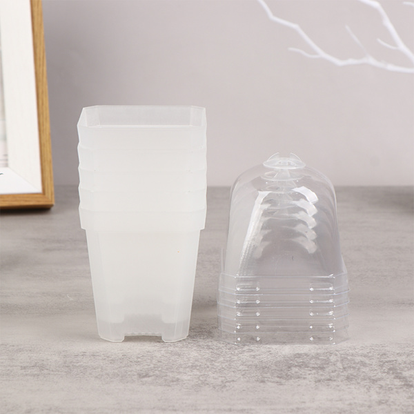 5st fyrkantig liten blomkruka med fuktkupol lings ing krukor Transparent one size