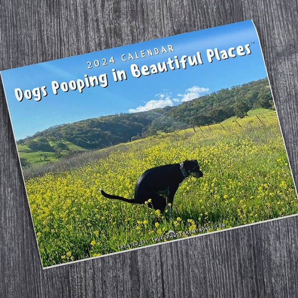 2024 e Funny Dog Pooping In Beautiful Places Vægkalender Uniq A1 one size