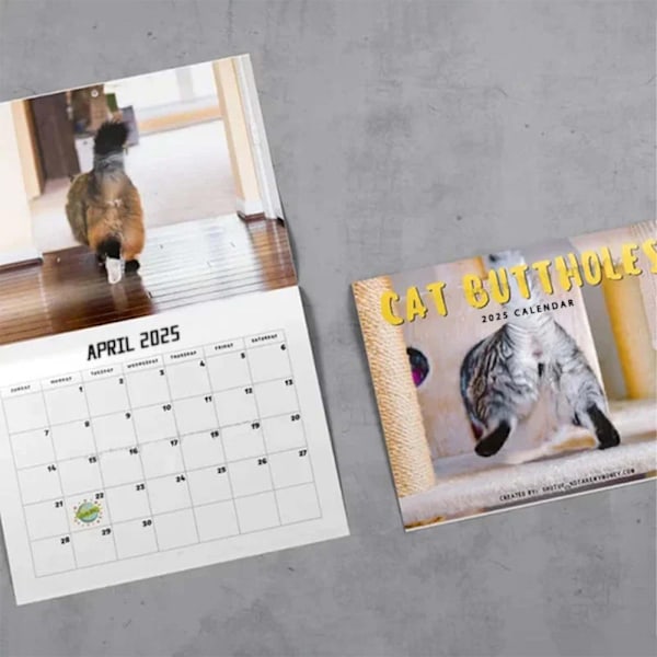 Kattestjerter 2025 For Katt-Elskere Morsomme Katter Kalender A