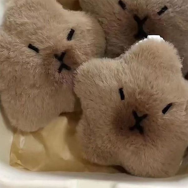 Capybara Star Plysjdukke Squeak Toy Cartoon Star nøkkelring Penda A onesize