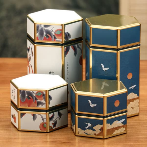 Hexagonal plåt förvaringslåda Lufttät behållare case för StyleE L StyleE L