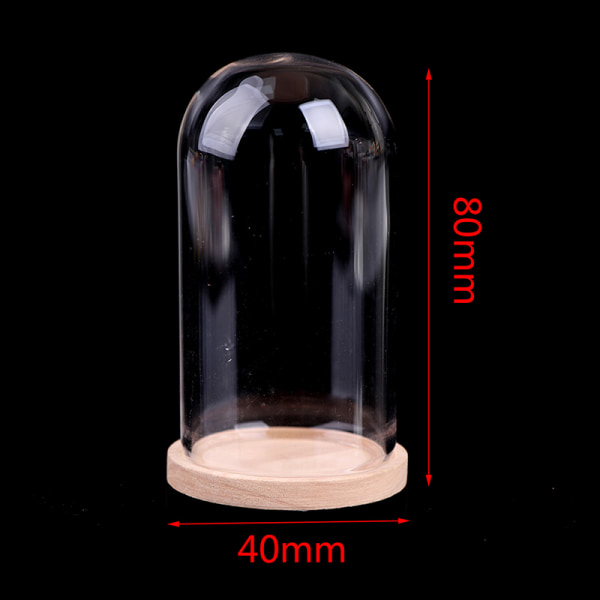 1:12 Dukkehus Miniature Decor Flower Display Glas Display Bel 40*80mm