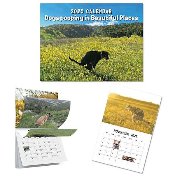 2025 Väggkalender - Hundbajs Kalender Månadskalender Planerare A