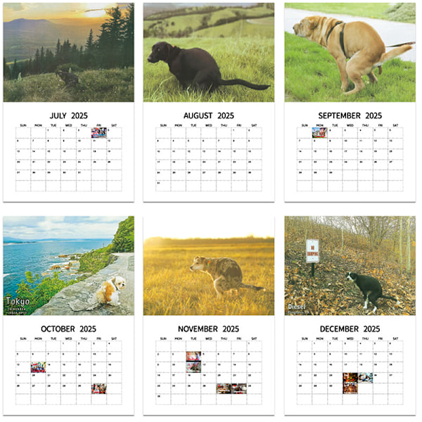 2025 Väggkalender - Hundbajs Kalender Månadskalender Planerare A
