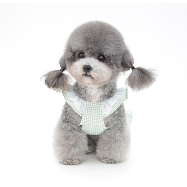 Husdjurskläder Nya våren och sommaren Pet Kjol Sommar Teddy Kläder green plaid L