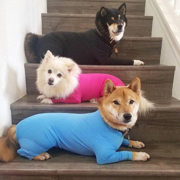 Pet Clothes Medium and Large Dog Base All-Inclusive Four-Leg Autumn and Winter Elastic Pure Red 2xl