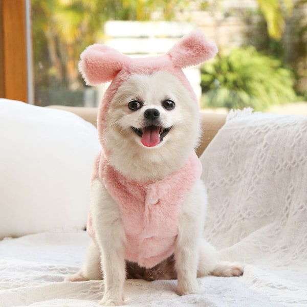 Lemmikkien vaatteet Syksy ja Talvi Uudet Koiran Kissan Vaatteet Turkistakki Rusetin koristelu Pink l