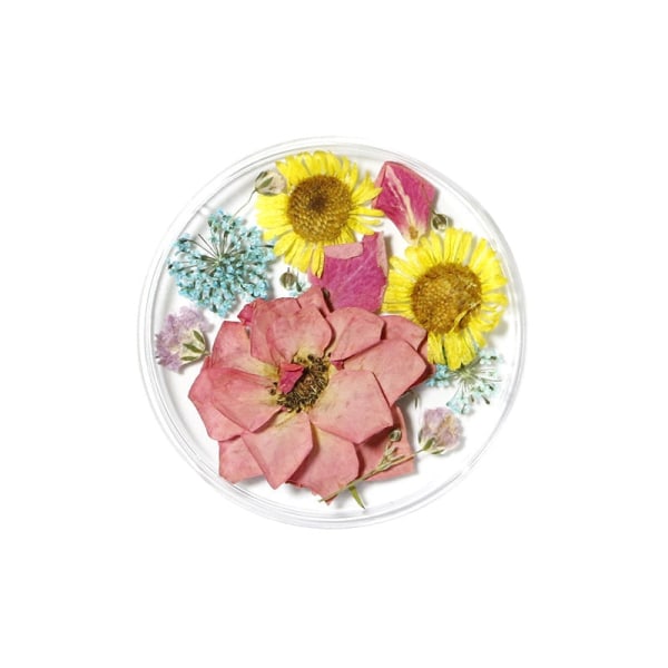 Kynsikoristeet Nail Art Ins Style -tyyliin 24 luonnollista kaunista narsissin kukkaa 04 Dried Flower fingernail decoration