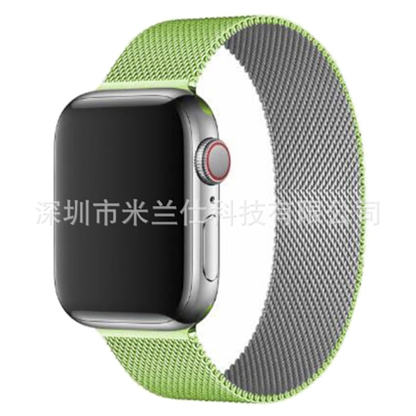 Klockarmband för Apple Watch iWatch 38/40/41/42mm-S10 22 grön med silver
