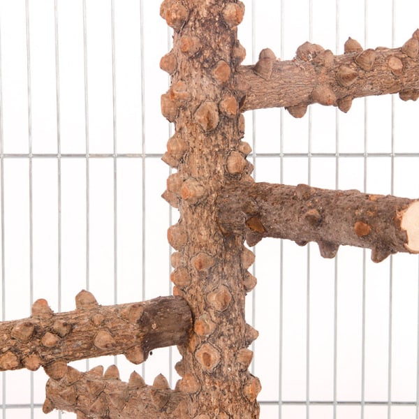 Trygge ikke-giftige fugleleker Papegøye roterende tømmerstokk med lærtrappstativ til fuglebur tilbehør Height 35cm