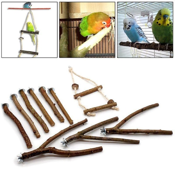 Fugleleker 10stk papegøyestativ stang naturtre gaffel abbor hengende