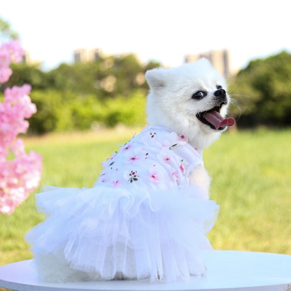 Dyreklær Skjørt Vår/sommer Teddy Bichon Peach Blossom Skjørt Bomull White M