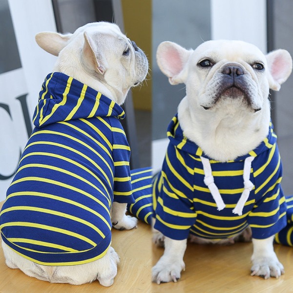 Kæledyrstøj Hunde Kat Hættetrøje Stribet Tøj Forår, Sommer, Efterår Ny Yellow deep blue stripes m