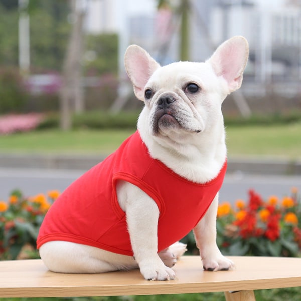 Dyreklær Jarre Aero Bull Vest Liten Middels Stor Hunde Bomull Red 4xl