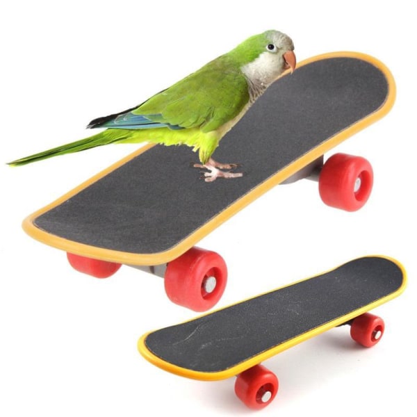 Turvalliset myrkyttömät lintulelut 2 kpl Papukaija Puzzle Interaction Lelu Hionta Claw Mini Rullalauta Luistinkengät Koulutus Parrot skateboard