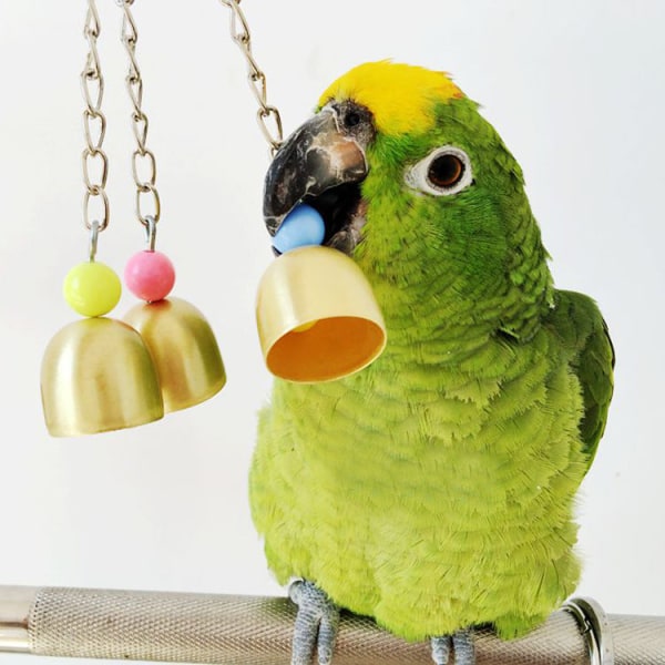Trygge ikke-giftige fugleleker Stor, middels og liten papegøye med tre strenger kobberklokkestativ Default Title