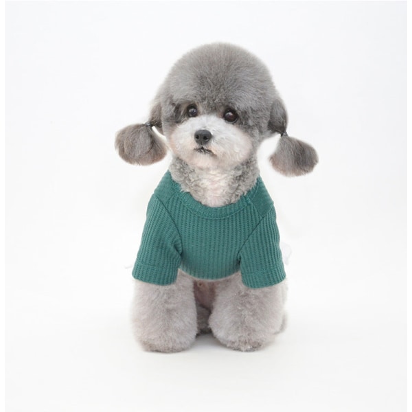 Lemmikkien vaatteet Kevään uudet pentuhame Teddy Pomeranian -vaatteet Green M