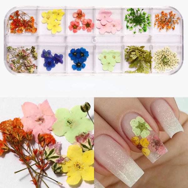 Kynsikoristeet nail art varten Japanilainen kynsi kuivattu kukka 12 väriä laatikko 24 kukkaa Nail beauty dried flowers K style