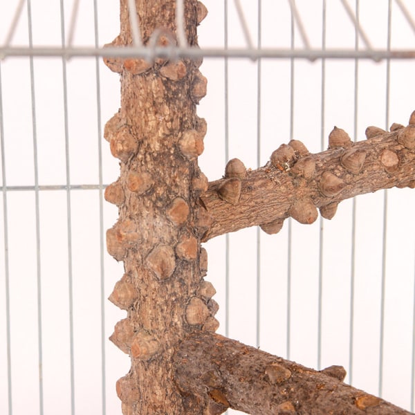 Trygge ikke-giftige fugleleker Papegøye roterende tømmerstokk med lærtrappstativ til fuglebur tilbehør Height 25cm