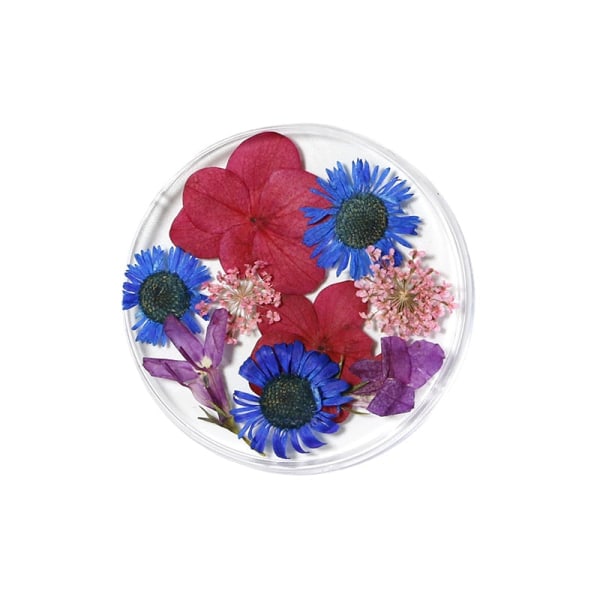 Kynsikoristeet Nail Art Ins Style -tyyliin 24 luonnollista kaunista narsissin kukkaa 10 Dried Flower fingernail decoration
