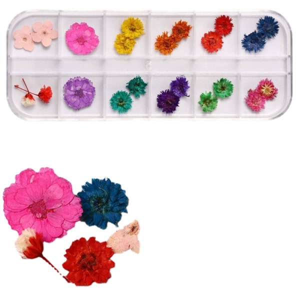 Kynsikoristeet nail art varten Japanilainen kynsi kuivattu kukka 12 väriä laatikko 24 kukkaa Nail beauty dried flowers F type