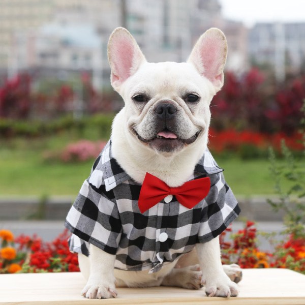 Kæledyrstøj Plaidskjortedragt Brudekjole Tilbehør til kæledyr Black and white plaid xl