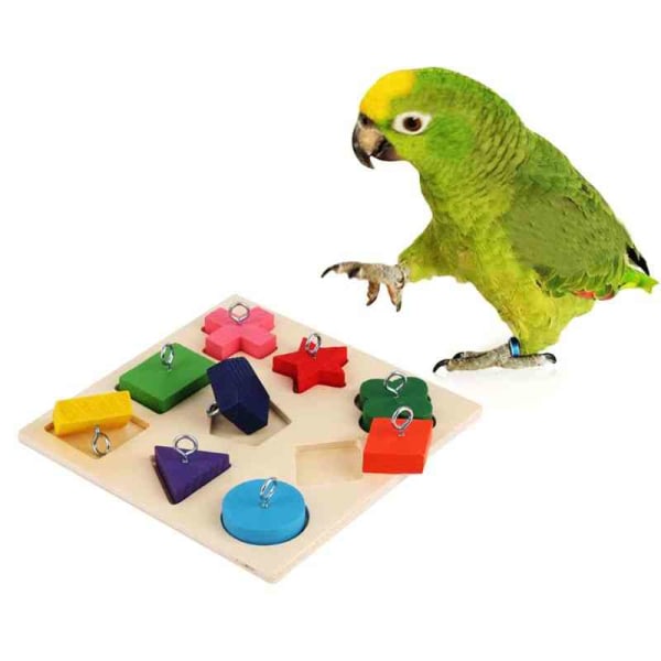 Interactive Birds Parrot Interactive Training Farverig træblok As Seen On Image