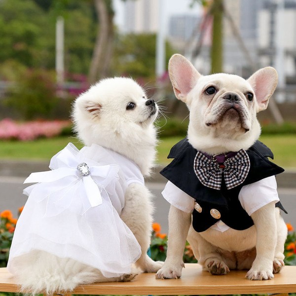 Lemmikkien vaatteet puku hääpuku Pienille ja keskikokoisille koirille Elegant white wedding dress l
