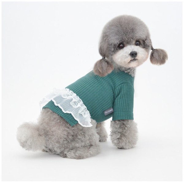 Lemmikkien vaatteet Kevään uudet pentuhame Teddy Pomeranian -vaatteet Green S