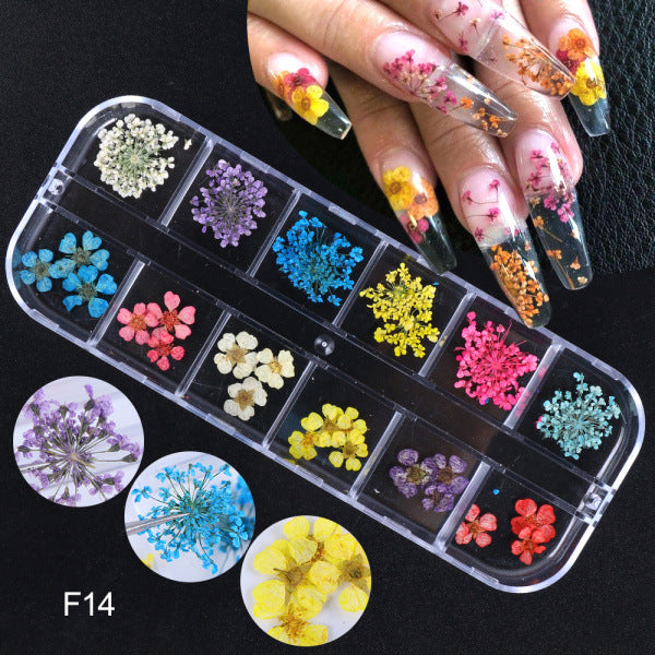 Kynsikoristeet nail art Vintage Kuivatut kukkapaljetit Butterfly Platinum Fragments Hybrid dried flower ornament-F14
