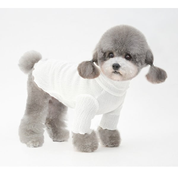 Kæledyrstøj Forår Sommer Hundebasetøj Solbeskyttelsestøj Two Feet Apparel Teddy White XXL