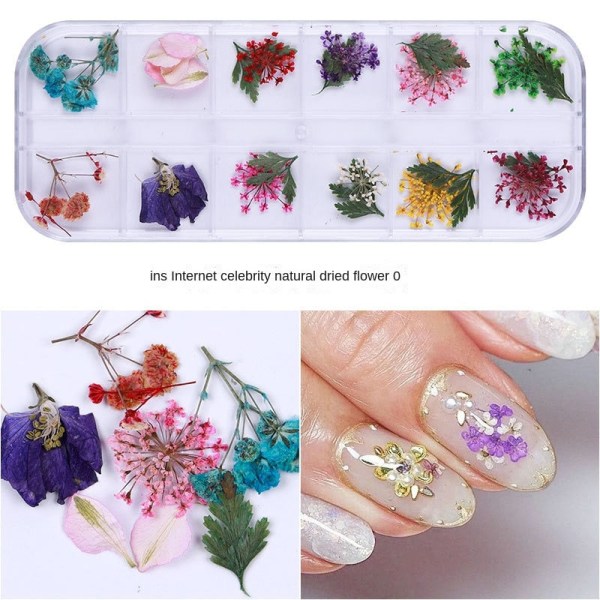 Negledekorasjoner for neglekunst Japansk negletørket blomst 12 farger i eske med 24 blomster Nail beauty dried flowers O style