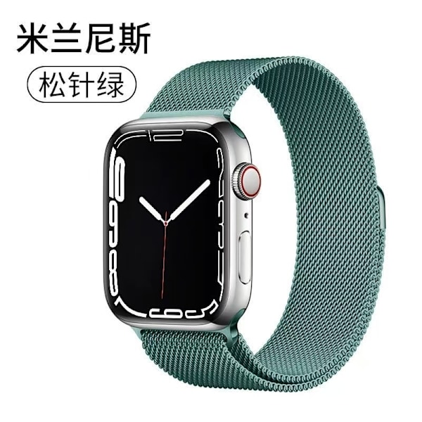 Klockarmband för Apple Watch iWatch 38/40/41/10:e generationen 42mm universal barrträdsgrön