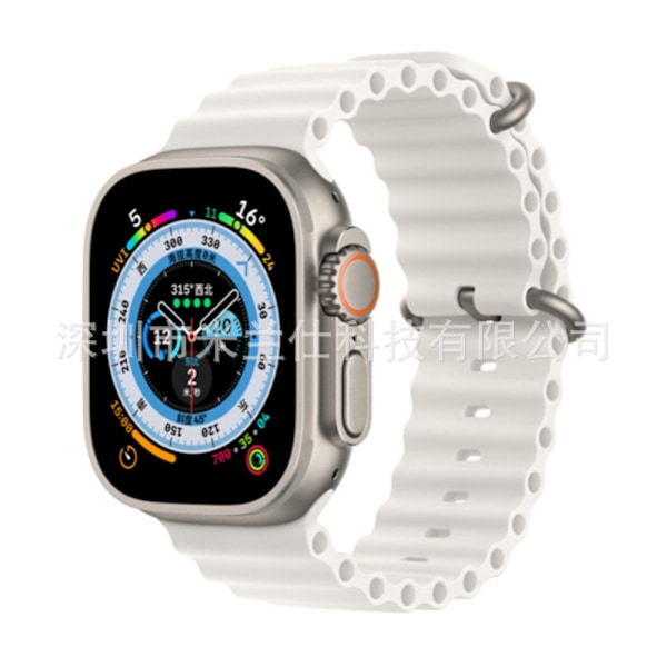 Kellon ranneke Apple Watch iWatch 38/40/41/42mm - S10 jousisolki 2 valkoinen