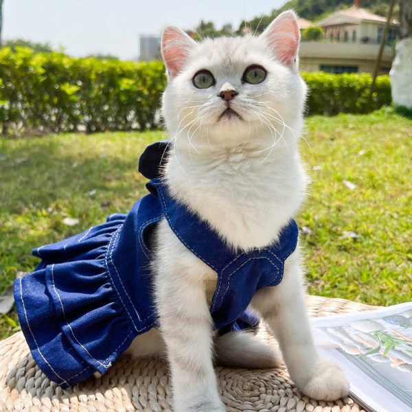 Husdjurskläder Katt jeanskjol Walking Dog ut bröst och rygg dragkraft Skirt 2xl