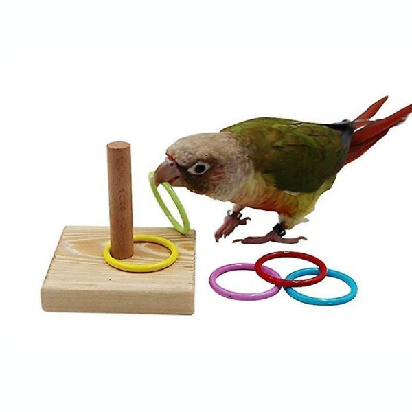 uusi puinen lintu papukaija alusta muovirengas älykkyys traini